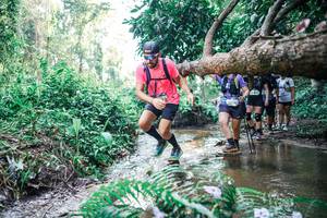 BIB: 
                            <button type="button" onclick="openModal(25463417)" class="btn btn-primary btn-sm float-right btn-popup" data-toggle="modal" data-target=".modal-high-quality">
                        <i class="fas fa-shopping-cart"></i> Add to Cart
                    </button>
                                            <button type="button" onclick="isThisMe(25463417, true)" class="btn btn-success btn-sm float-right btn-popup btn-isme hidden" data-toggle="tooltip" data-placement="bottom" title="นี่คือรูปของคุณใช่ไหม คลิกที่นี่เพื่อเอาเข้าอัลบั้ม">
                        <i class="fas fa-plus"></i> Add to album
                    </button>
                    <button type="button" onclick="isThisMe(25463417, false)" class="btn btn-warning btn-sm float-right btn-popup btn-isnotme hidden">
                        <i class="fas fa-ban"></i> Remove from album
                    </button>